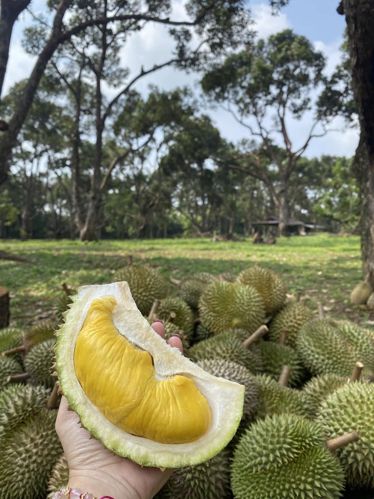 Durian